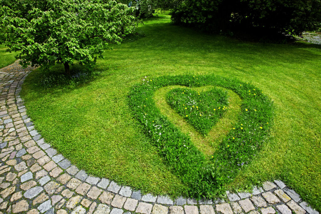 © lizensiert mit Adobe Stock